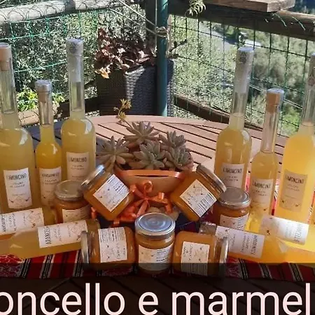 I Pipetta Farmház